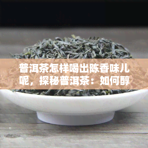 普洱茶怎样喝出陈香味儿呢，探秘普洱茶：如何醇出陈香？技巧揭秘！