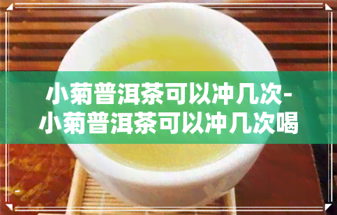 小菊普洱茶可以冲几次-小菊普洱茶可以冲几次喝