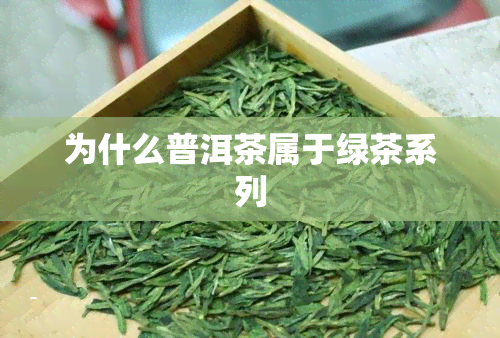 为什么普洱茶属于绿茶系列