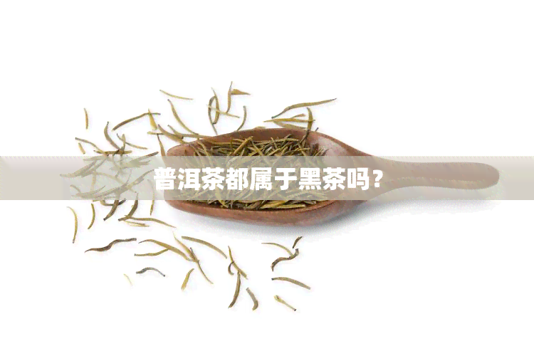 普洱茶都属于黑茶吗？