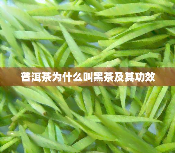 普洱茶为什么叫黑茶及其功效