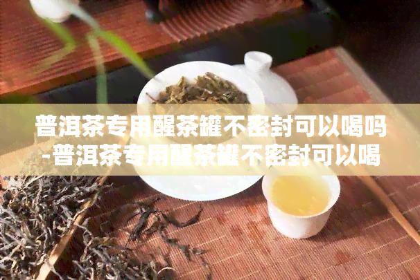 普洱茶专用醒茶罐不密封可以喝吗-普洱茶专用醒茶罐不密封可以喝吗有吗