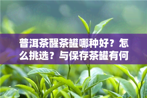 普洱茶醒茶罐哪种好？怎么挑选？与保存茶罐有何区别？