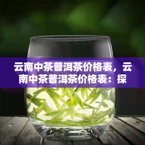 云南中茶普洱茶价格表，云南中茶普洱茶价格表：探索普洱茶的价值和选择