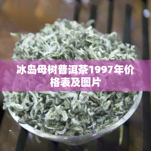 冰岛母树普洱茶1997年价格表及图片