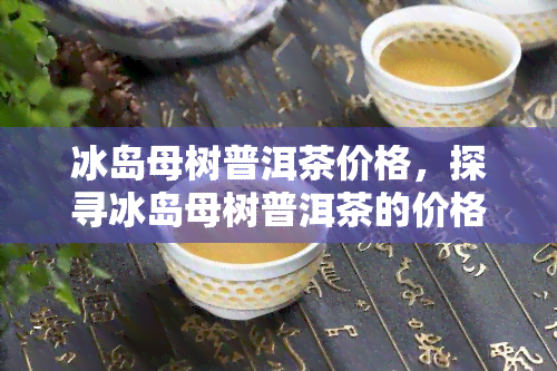 冰岛母树普洱茶价格，探寻冰岛母树普洱茶的价格：品味之旅的成本