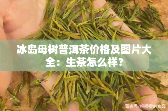 冰岛母树普洱茶价格及图片大全：生茶怎么样？