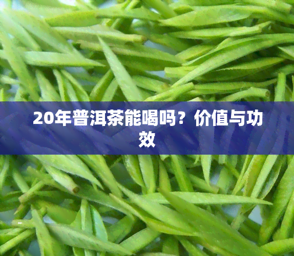 20年普洱茶能喝吗？价值与功效