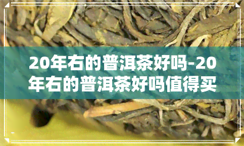 20年右的普洱茶好吗-20年右的普洱茶好吗值得买吗