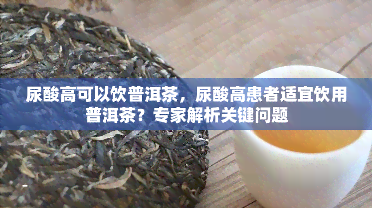 尿酸高可以饮普洱茶，尿酸高患者适宜饮用普洱茶？专家解析关键问题