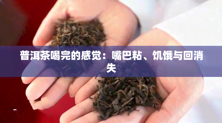 普洱茶喝完的感觉：嘴巴粘、饥饿与回消失