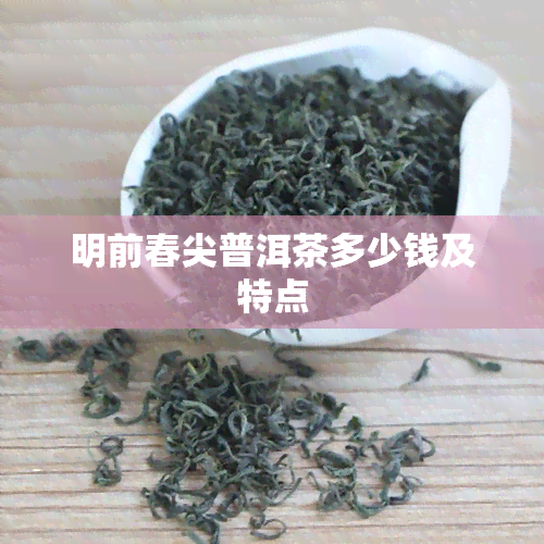 明前春尖普洱茶多少钱及特点