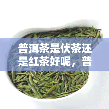 普洱茶是伏茶还是红茶好呢，普洱茶和茯茶哪个好