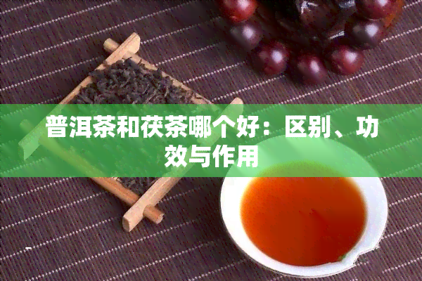 普洱茶和茯茶哪个好：区别、功效与作用