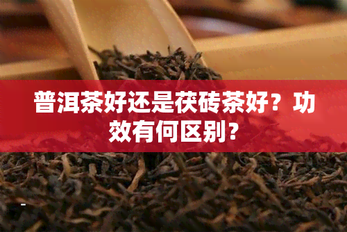 普洱茶好还是茯砖茶好？功效有何区别？