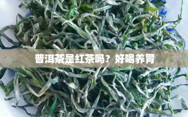 普洱茶是红茶吗？好喝养胃