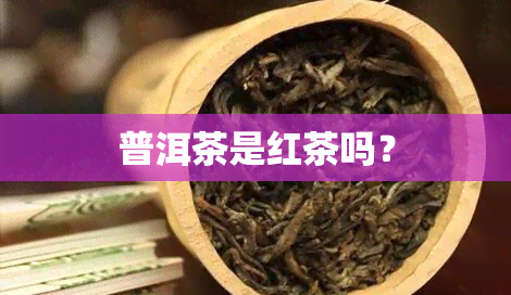 普洱茶是红茶吗？