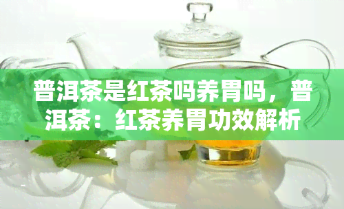 普洱茶是红茶吗养胃吗，普洱茶：红茶养胃功效解析