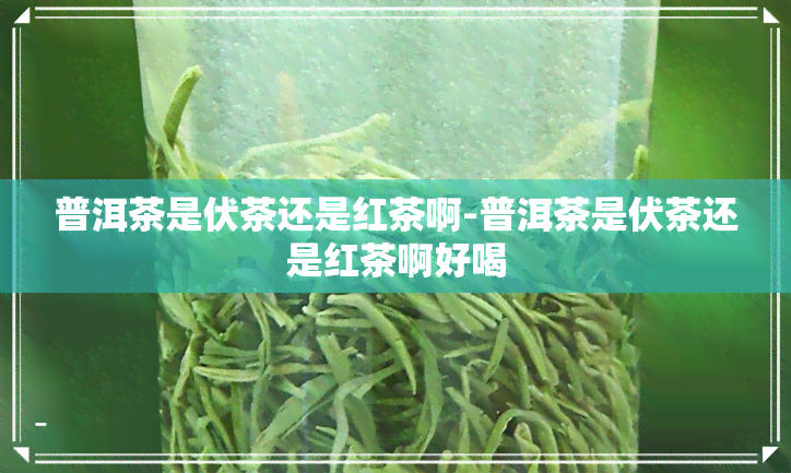 普洱茶是伏茶还是红茶啊-普洱茶是伏茶还是红茶啊好喝