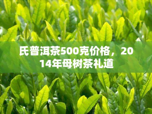 氏普洱茶500克价格，2014年母树茶礼道