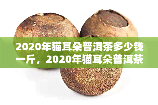 2020年猫耳朵普洱茶多少钱一斤，2020年猫耳朵普洱茶一斤多少钱？揭秘价格走势！