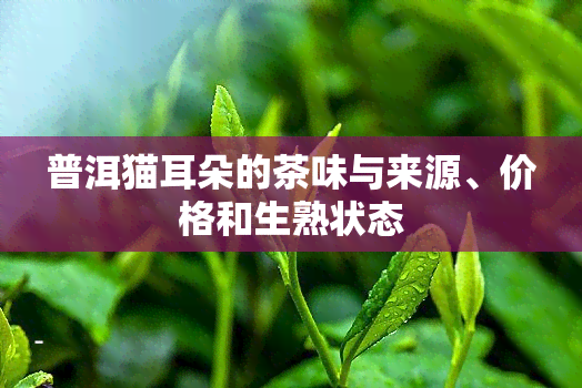 普洱猫耳朵的茶味与来源、价格和生熟状态