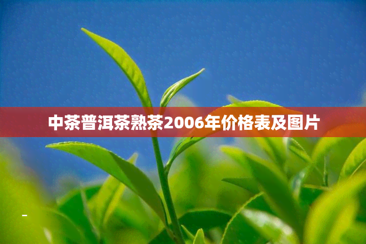 中茶普洱茶熟茶2006年价格表及图片