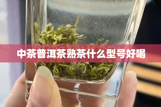 中茶普洱茶熟茶什么型号好喝