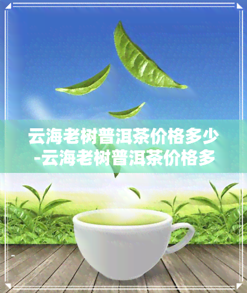 云海老树普洱茶价格多少-云海老树普洱茶价格多少钱一斤