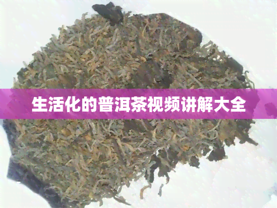 生活化的普洱茶视频讲解大全