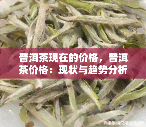 普洱茶现在的价格，普洱茶价格：现状与趋势分析