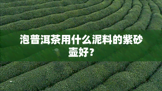 泡普洱茶用什么泥料的紫砂壶好？