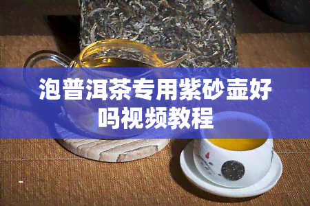 泡普洱茶专用紫砂壶好吗视频教程