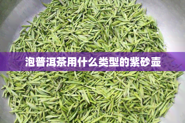 泡普洱茶用什么类型的紫砂壶