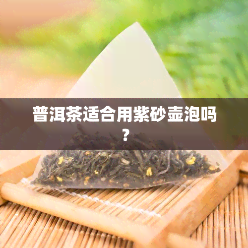 普洱茶适合用紫砂壶泡吗？