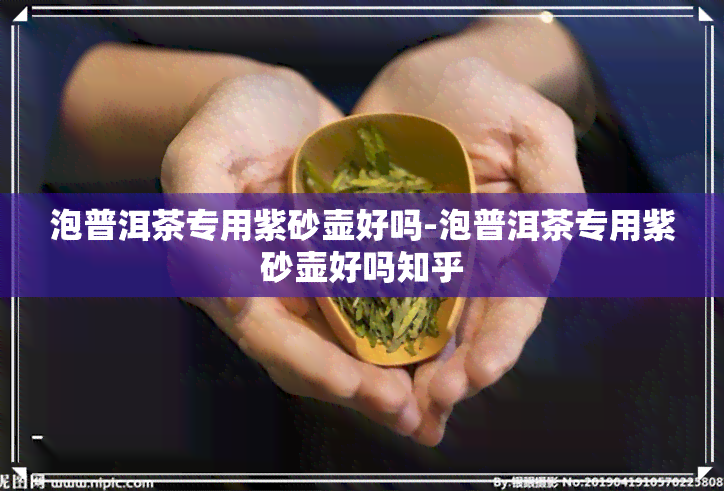 泡普洱茶专用紫砂壶好吗-泡普洱茶专用紫砂壶好吗知乎