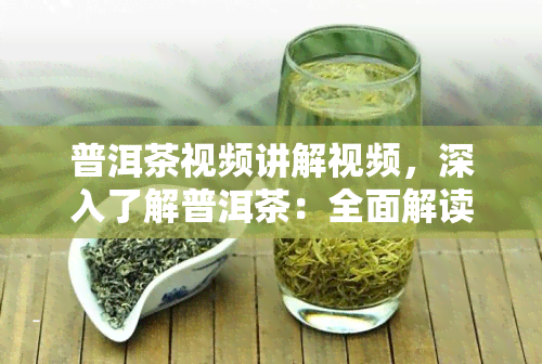 普洱茶视频讲解视频，深入了解普洱茶：全面解读的视频教程