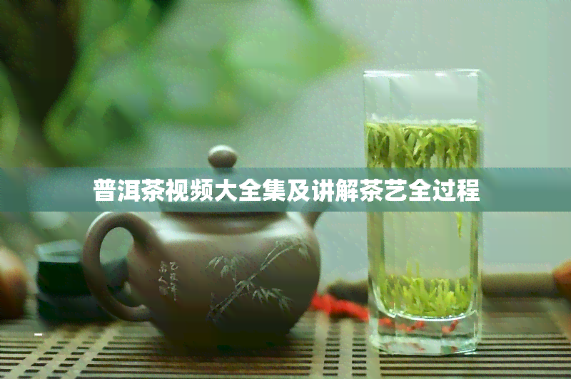 普洱茶视频大全集及讲解茶艺全过程