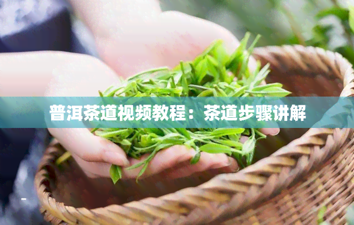 普洱茶道视频教程：茶道步骤讲解