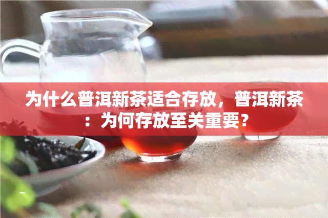 为什么普洱新茶适合存放，普洱新茶：为何存放至关重要？