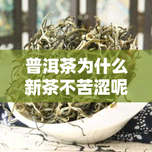 普洱茶为什么新茶不苦涩呢，适合存放，比老茶贵