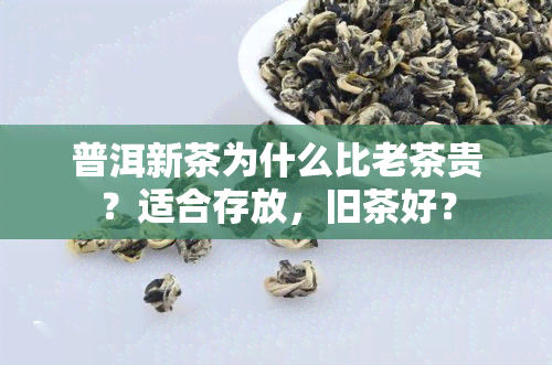 普洱新茶为什么比老茶贵？适合存放，旧茶好？