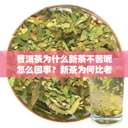 普洱茶为什么新茶不苦呢怎么回事？新茶为何比老茶贵？