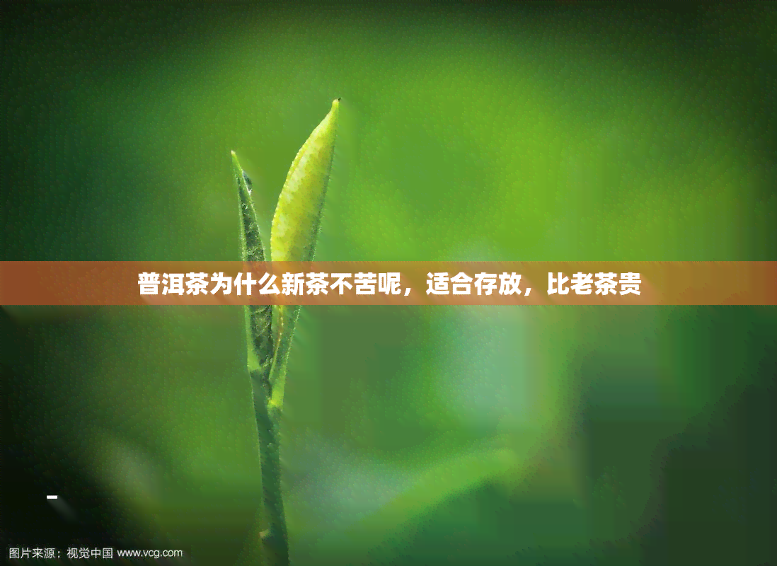 普洱茶为什么新茶不苦呢，适合存放，比老茶贵