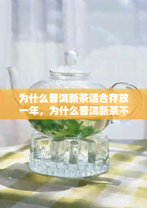 为什么普洱新茶适合存放一年，为什么普洱新茶不能直接喝，普洱新茶为什么比老茶贵，普洱茶为什么要放几年