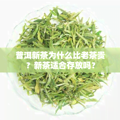 普洱新茶为什么比老茶贵？新茶适合存放吗？