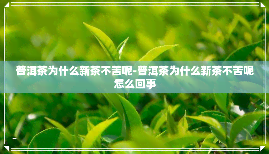 普洱茶为什么新茶不苦呢-普洱茶为什么新茶不苦呢怎么回事