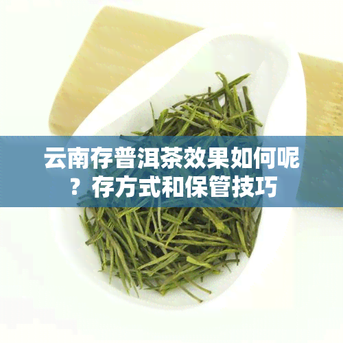 云南存普洱茶效果如何呢？存方式和保管技巧