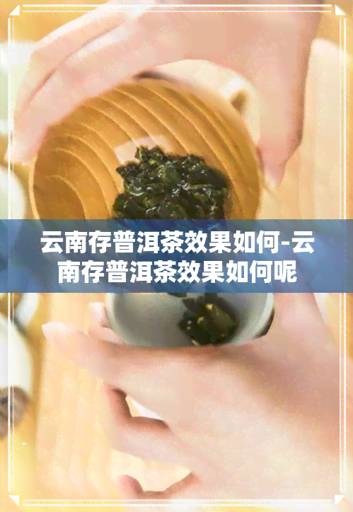 云南存普洱茶效果如何-云南存普洱茶效果如何呢