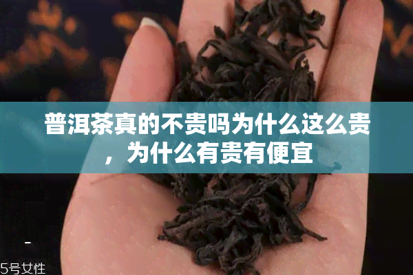 普洱茶真的不贵吗为什么这么贵，为什么有贵有便宜